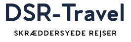 DSR-Travel Logo